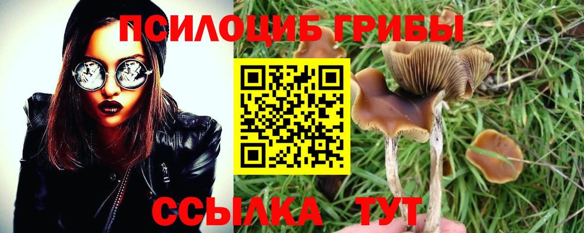 Галлюциногенные грибы GOLDEN TEACHER  Вход с VPN  Барабинск 