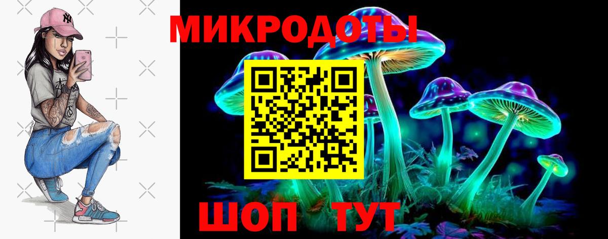 Псилоцибиновые грибы мицелий Барабинск